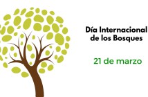 Día-intencional-de-los-bosques-214x140