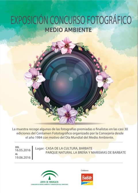 FB_IMG_1463405539571