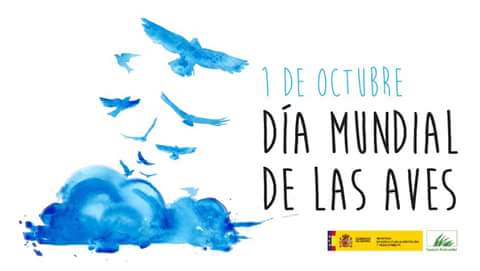 fb_img_1475501074242