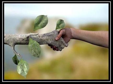 amigos-de-la-naturaleza