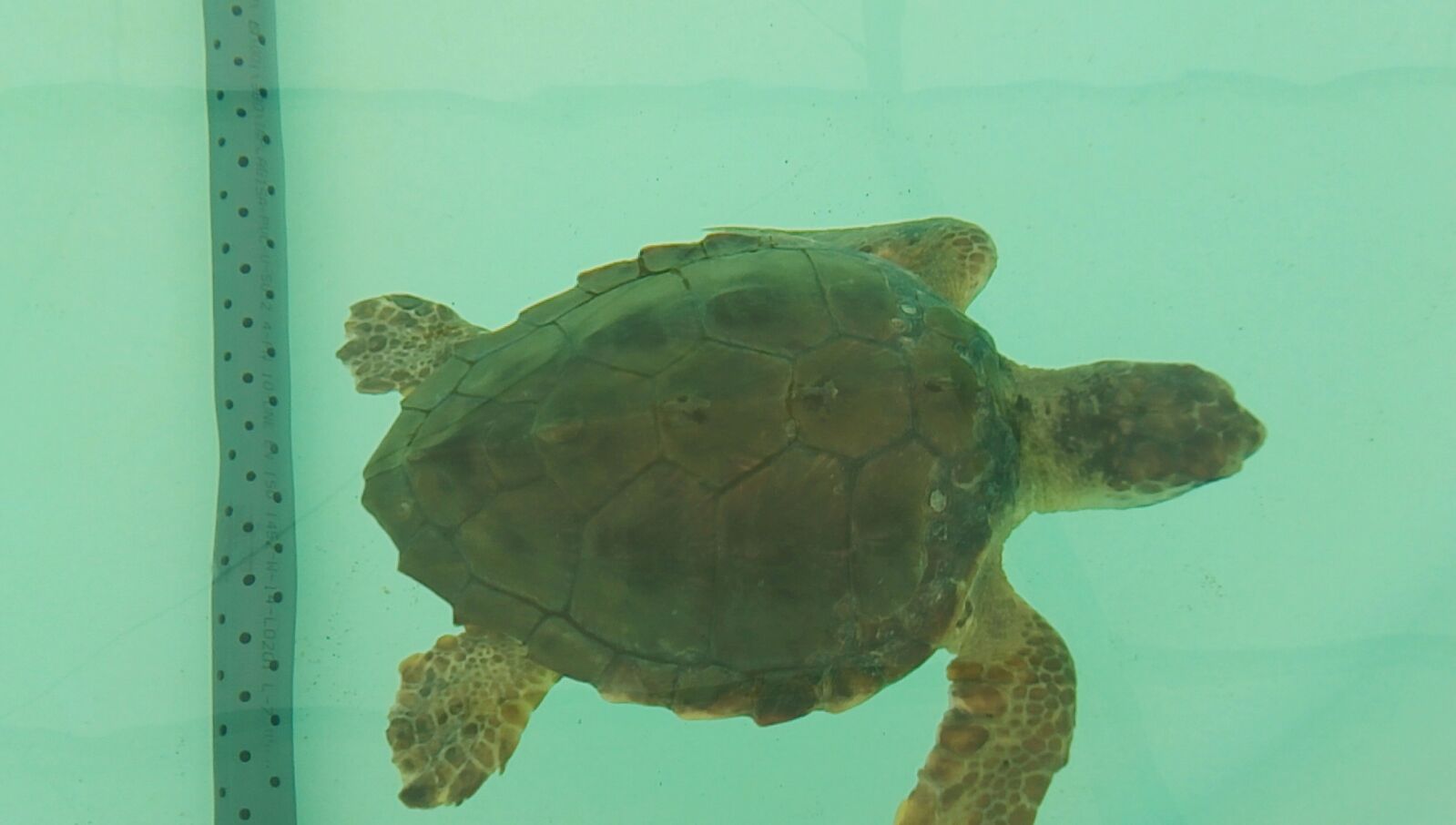 WhatsApp Image 2017-06-29 at 19.04.20 (1)