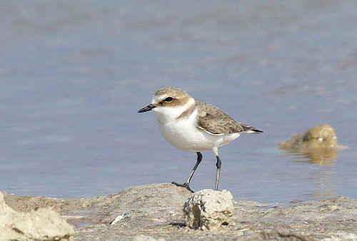 452988689_ee3a683530_z