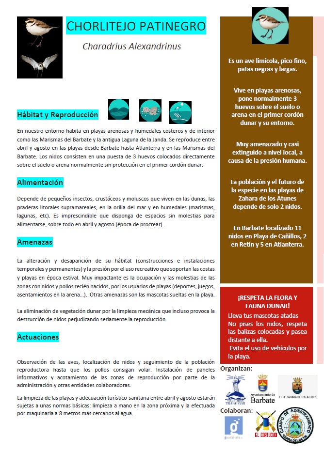 Cartel del Chorlitejo