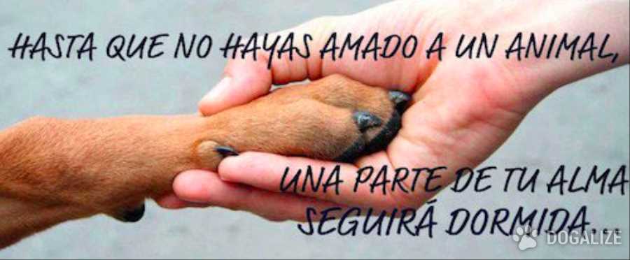 2d18e5a1-8b69-40d6-a1d0-1ccc8ef9e16f