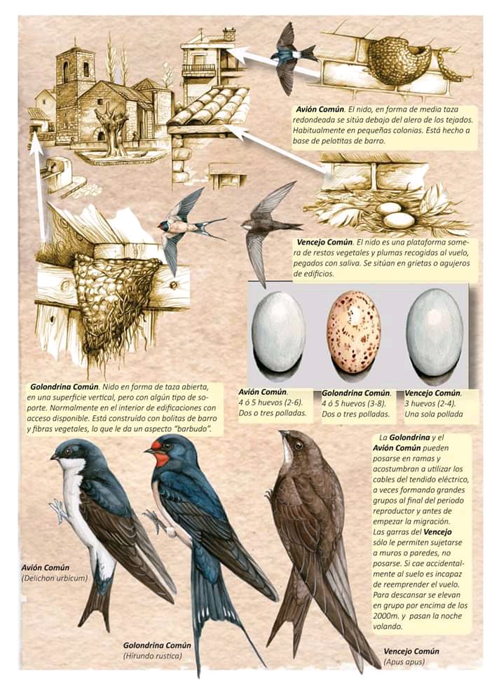 FB_IMG_15614580839577999