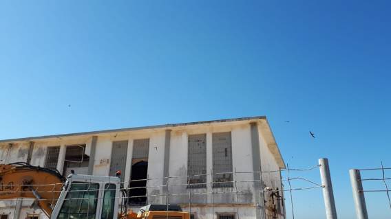 WhatsApp Image 2019-06-23 at 15.30.09