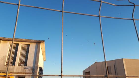 WhatsApp Image 2019-06-23 at 15.30.17