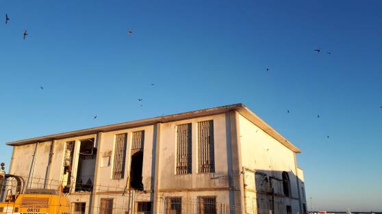 WhatsApp Image 2019-06-23 at 15.30.18