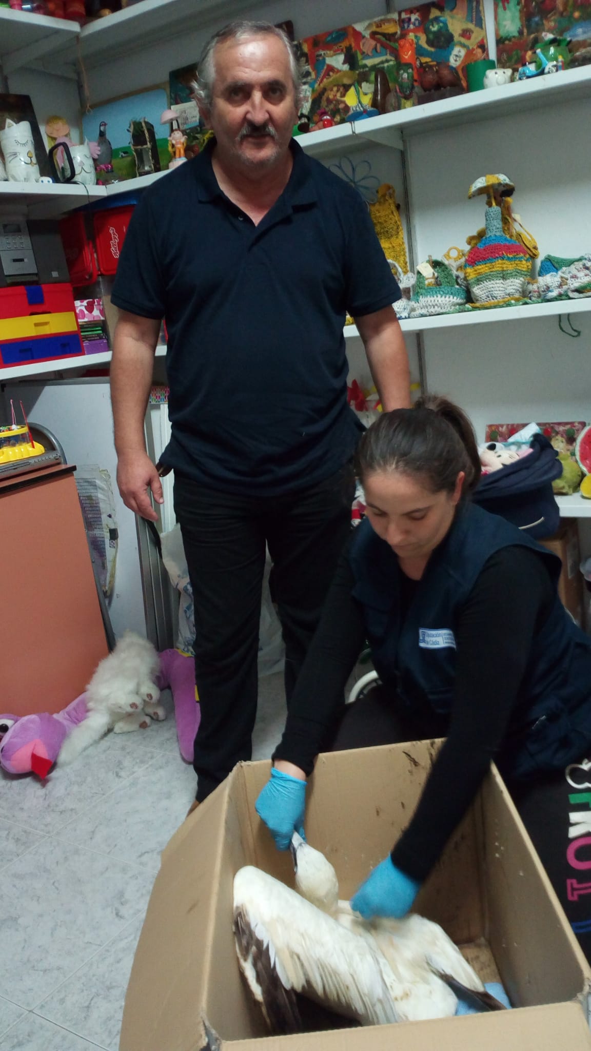 WhatsApp Image 2019-11-04 at 19.08.02 (1)