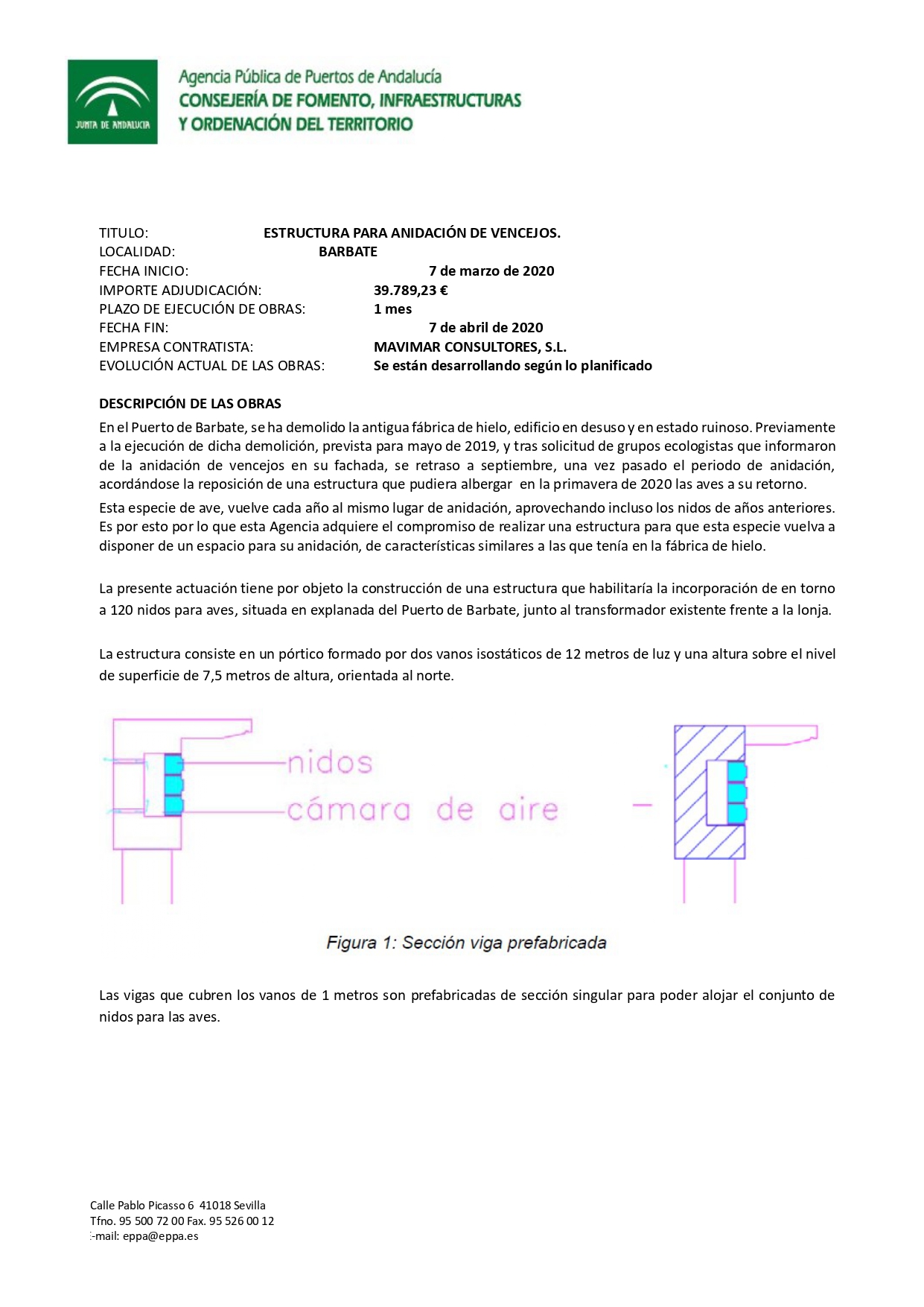 informe vencejos Barbate_APPA