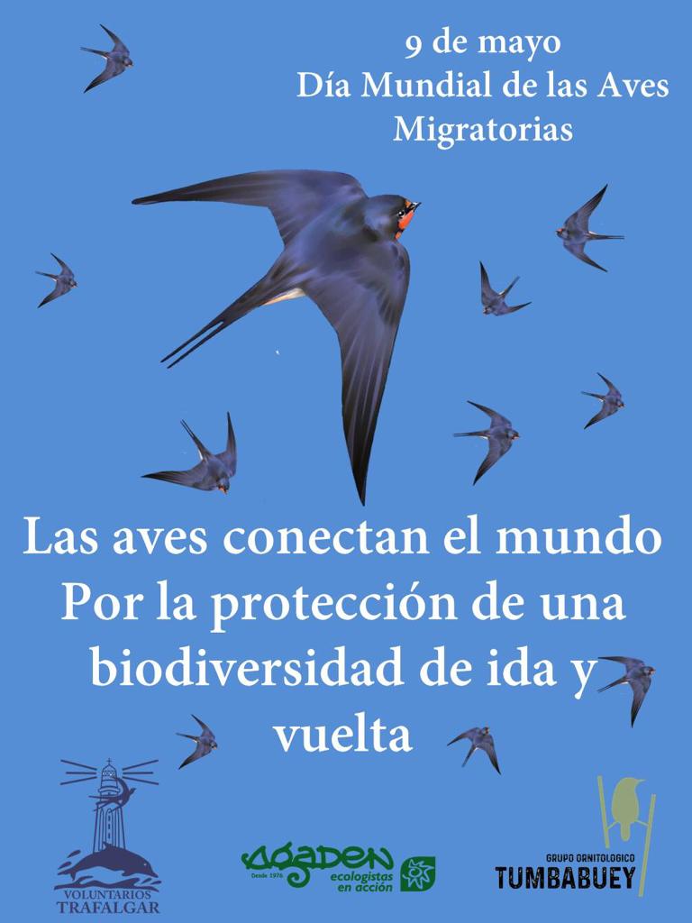 AVES_MIGRATORIAS